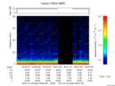 T2017004_05_75KHZ_WBB thumbnail Spectrogram