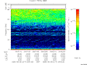 T2005217_04_75KHZ_WBB thumbnail Spectrogram