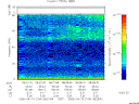 T2006104_08_75KHZ_WBB thumbnail Spectrogram