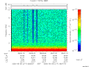 T2006217_08_10KHZ_WBB thumbnail Spectrogram