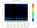 T2006314_17_75KHZ_WBB thumbnail Spectrogram