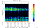 T2007007_19_75KHZ_WBB thumbnail Spectrogram