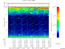 T2007035_17_75KHZ_WBB thumbnail Spectrogram
