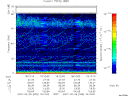 T2007059_18_75KHZ_WBB thumbnail Spectrogram