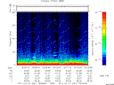 T2011021_19_75KHZ_WBB thumbnail Spectrogram