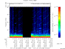 T2011028_07_75KHZ_WBB thumbnail Spectrogram