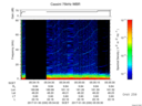 T2017030_05_75KHZ_WBB thumbnail Spectrogram