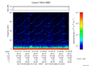 T2017064_01_75KHZ_WBB thumbnail Spectrogram