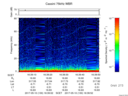 T2017130_16_75KHZ_WBB thumbnail Spectrogram