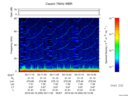 T2016050_00_75KHZ_WBB thumbnail Spectrogram